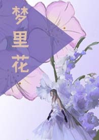 梦里花歌曲歌词
